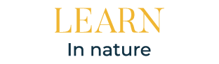 Camp Fairbridge Homepage Heading - Learn in nature