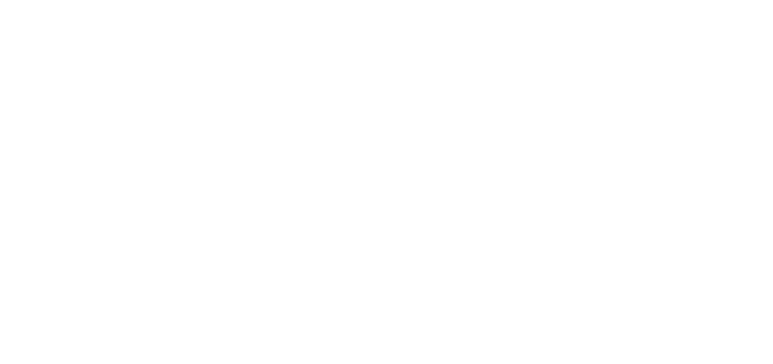 The Village Logo