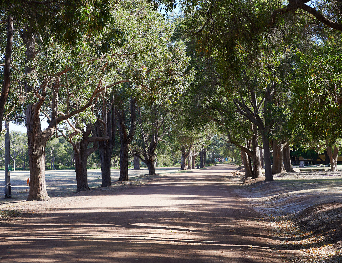 Fairbridge Festival - One of the festival area main roads