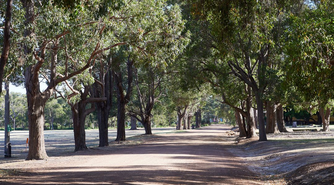 Fairbridge Festival - One of the festival area main roads